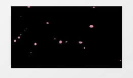 素材视频,一场视觉与情感的盛宴