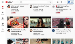 西瓜视频网页,短视频新潮流，轻松畅享精彩内容